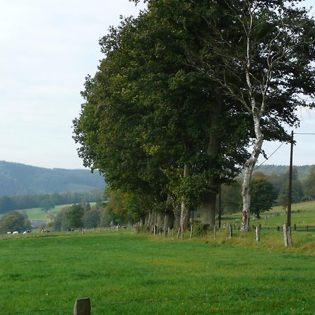 Le Fournil Gite Rural Trois-Ponts Eksteriør bilde